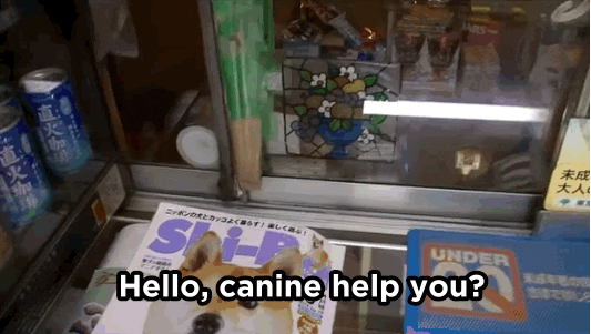 Can I Help You Pun GIF by MOODMAN Can I Help You Pun GIF by MOODMAN