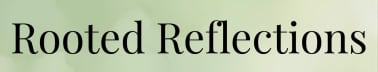 Rooted Reflections