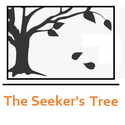 Substack profile picture for @seeker