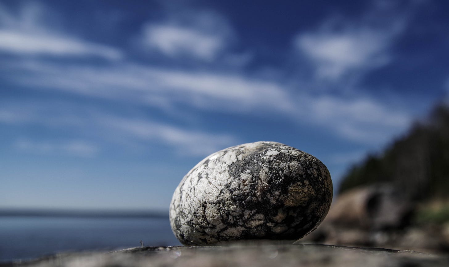 An image of a close-up rock with a blurred sea and forest and sky in the background An image of a close-up rock with a blurred sea and forest and sky in the background