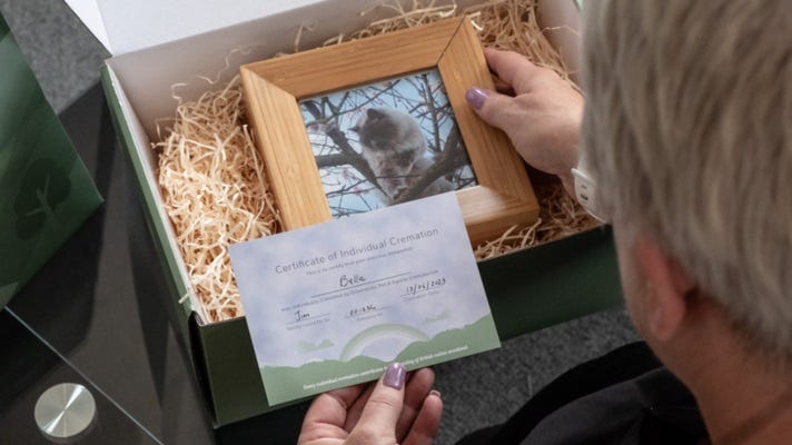 CVS sells ,crematoria operations ,Anima Care UK,