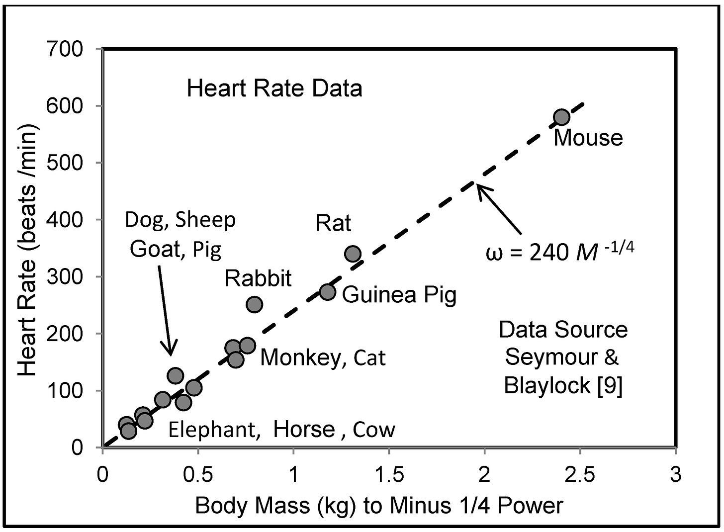 Allometric Relations and Scaling Laws for the Cardiovascular System of ...