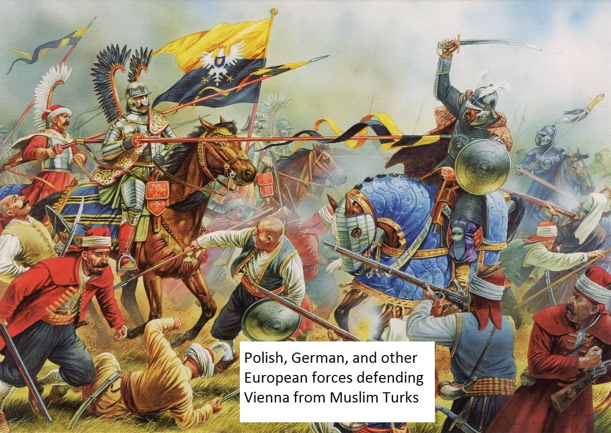 defense-of-vienna