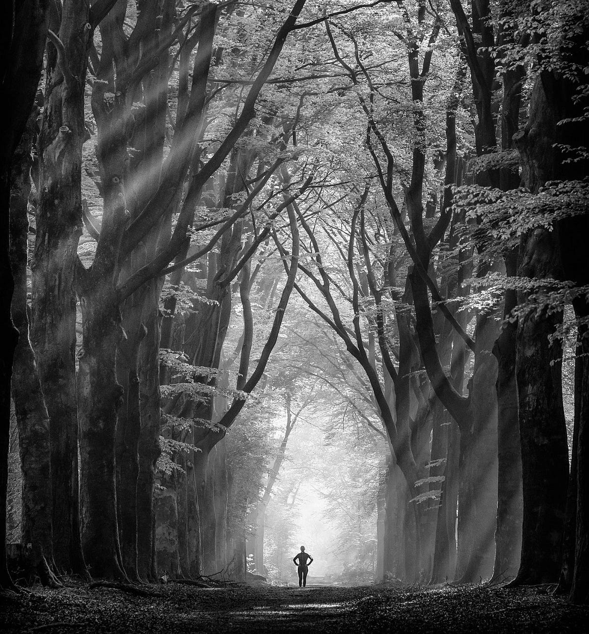 Black and white photo of a woman walking alone down a forest path, symbolizing personal growth, introspection, and the quiet strength it takes to set boundaries and move forward with emotional clarity in dating and life. Black and white photo of a woman walking alone down a forest path, symbolizing personal growth, introspection, and the quiet strength it takes to set boundaries and move forward with emotional clarity in dating and life.