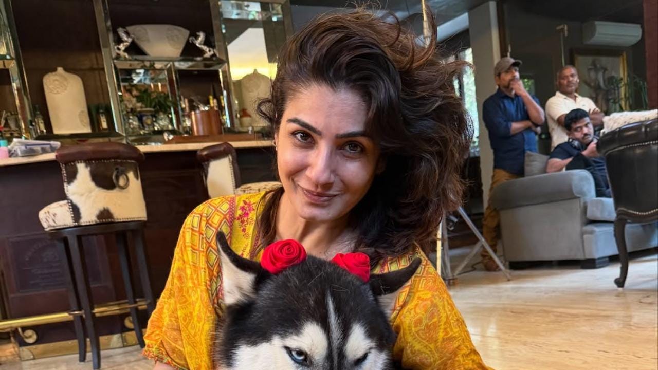 Raveena Tandon blames local bodies for rise in stray dogs population after  SC verdict