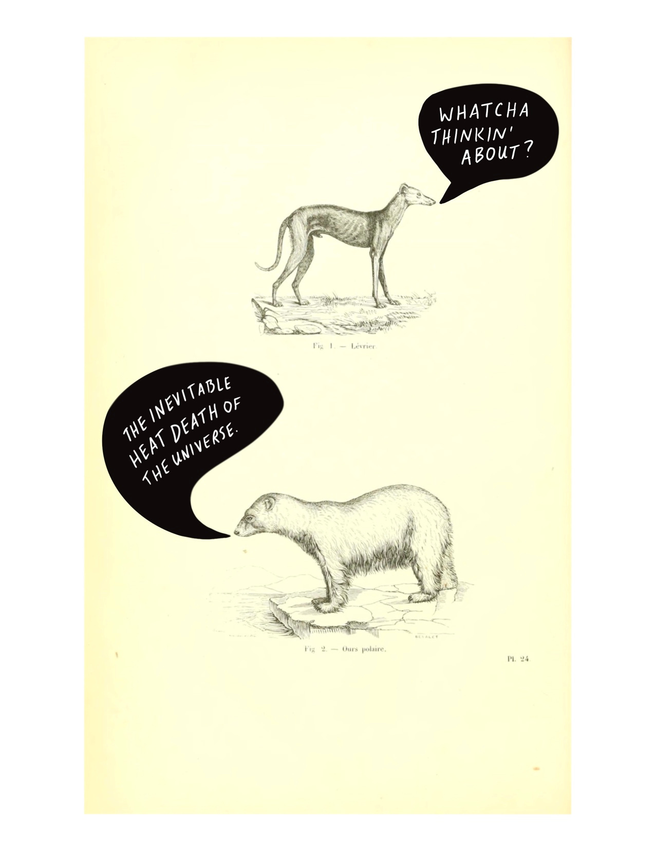 A 19th century illustration of what appears to be a greyhound and a polar bear. The greyhound asks “whatcha thinkin’ about?” The polar bear responds “the inevitable heat death of the universe.”