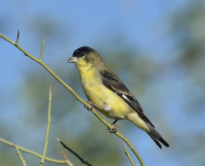 20170722_MBY-13.jpg 20170722_MBY-13.jpg