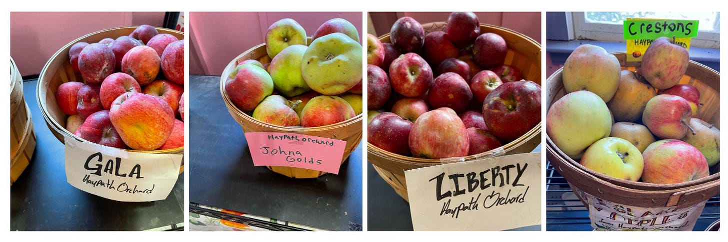 Local apples at Ghost Island Farm, Cook the Vineyard