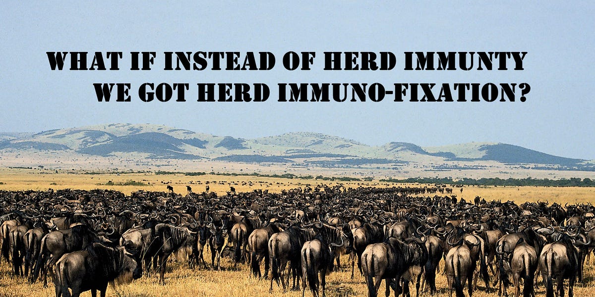 boriquagato.substack.com