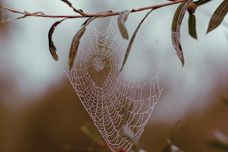 Code Smell 156 — Implicit Else