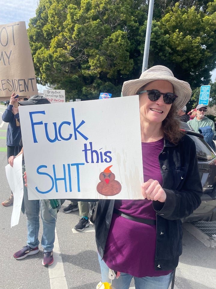 Signs say "I could shit a better president," large crowd and sign says: "how bad does it need to get for you to protest?" Sign says: Fuck this shit. Sign says: "Is Trump still president, asked Piglet. Yes, replied Poo. Fuck, said Piglet.