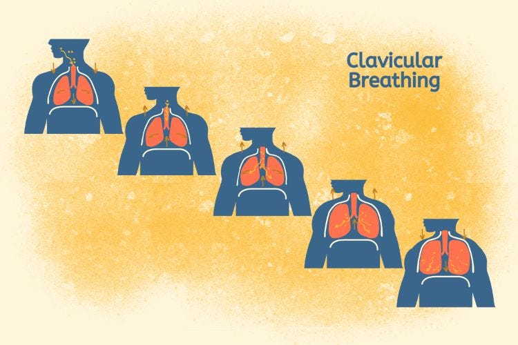 Clavicular Breathing Clavicular Breathing