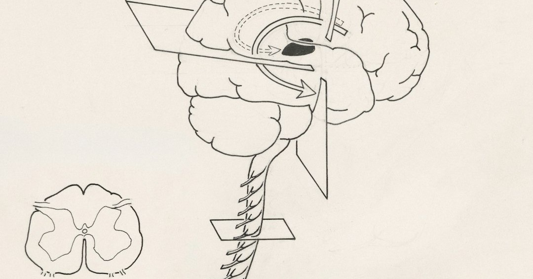 a black and white drawing of a spiral of life
