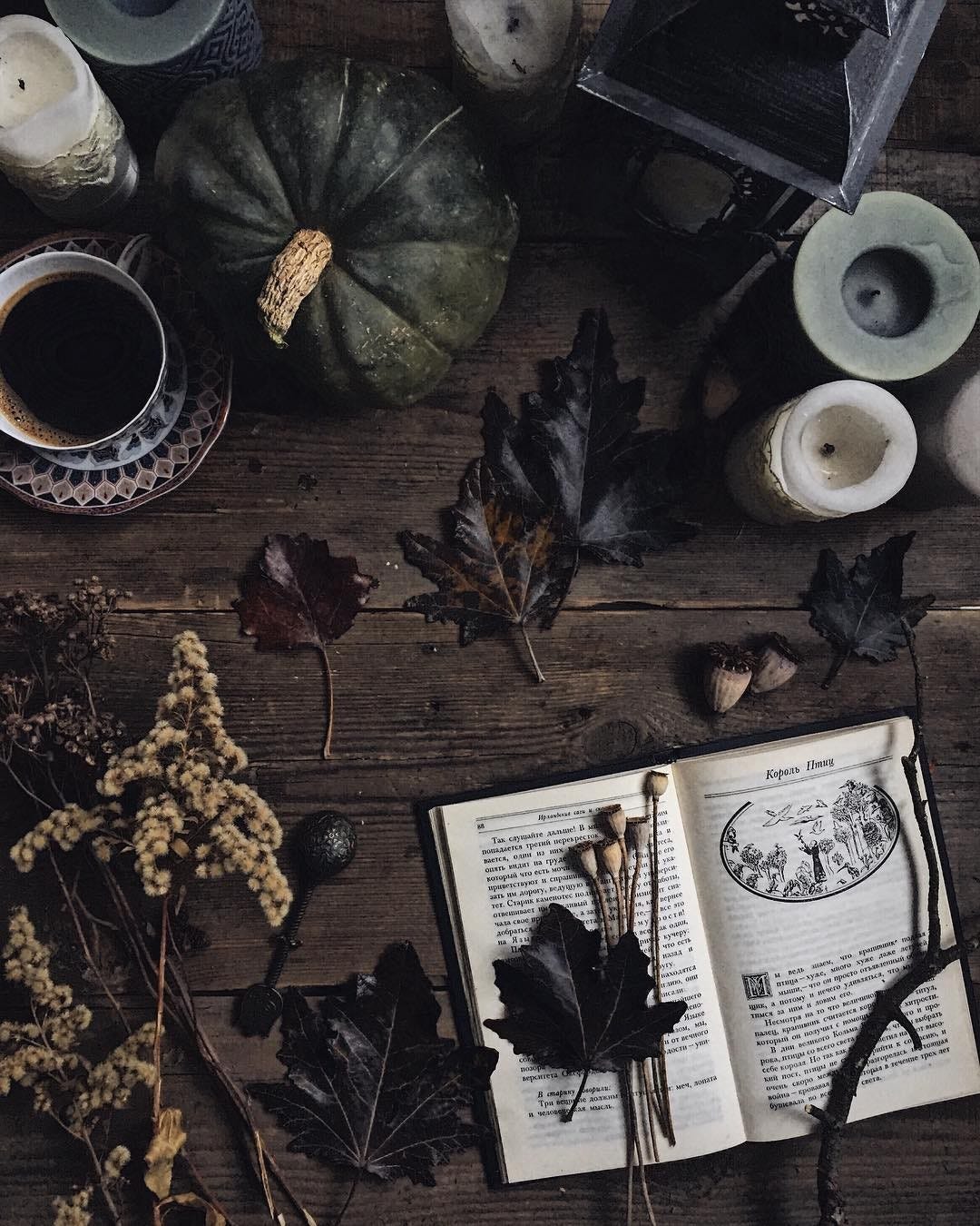 An Instagram  post added by juliagorina on Jun 29, 2023. The author is @liaselina. May present: october witch aesthetic, brown, black, plant, art.
