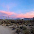 Traevel Guide: Tucson