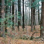 New England Parks Project