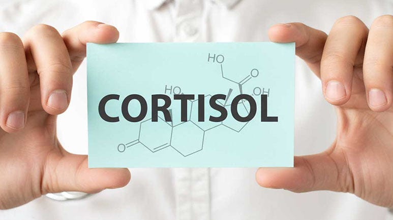role of cortisol in alzheimers