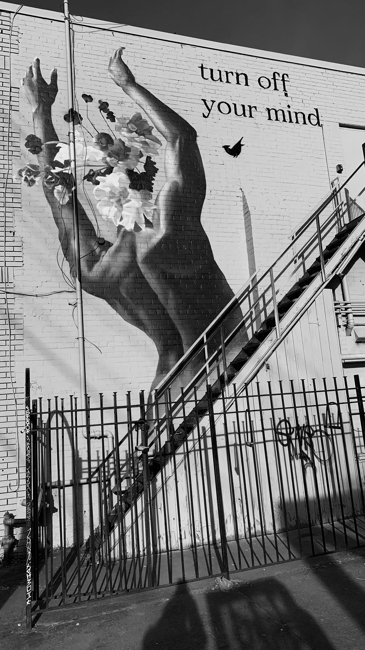 Toronto streets street photography street art murals