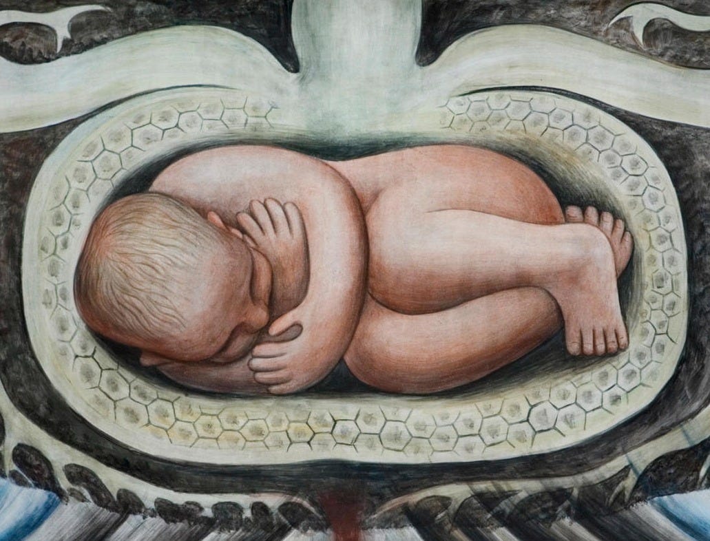 Detroit Industry, Infant in the Bulb of a Plant (East Wall Mural Detail),  1932-1933 by Diego Rivera - Paper Print - DIA Custom Prints - Custom Prints  and Framing From the Detroit Institute of Arts