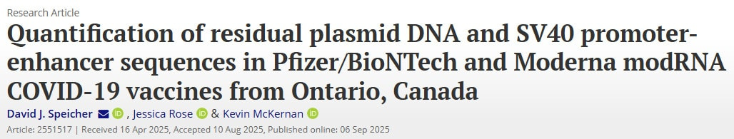 quantification of residual plasmid dna in covid vaccine study