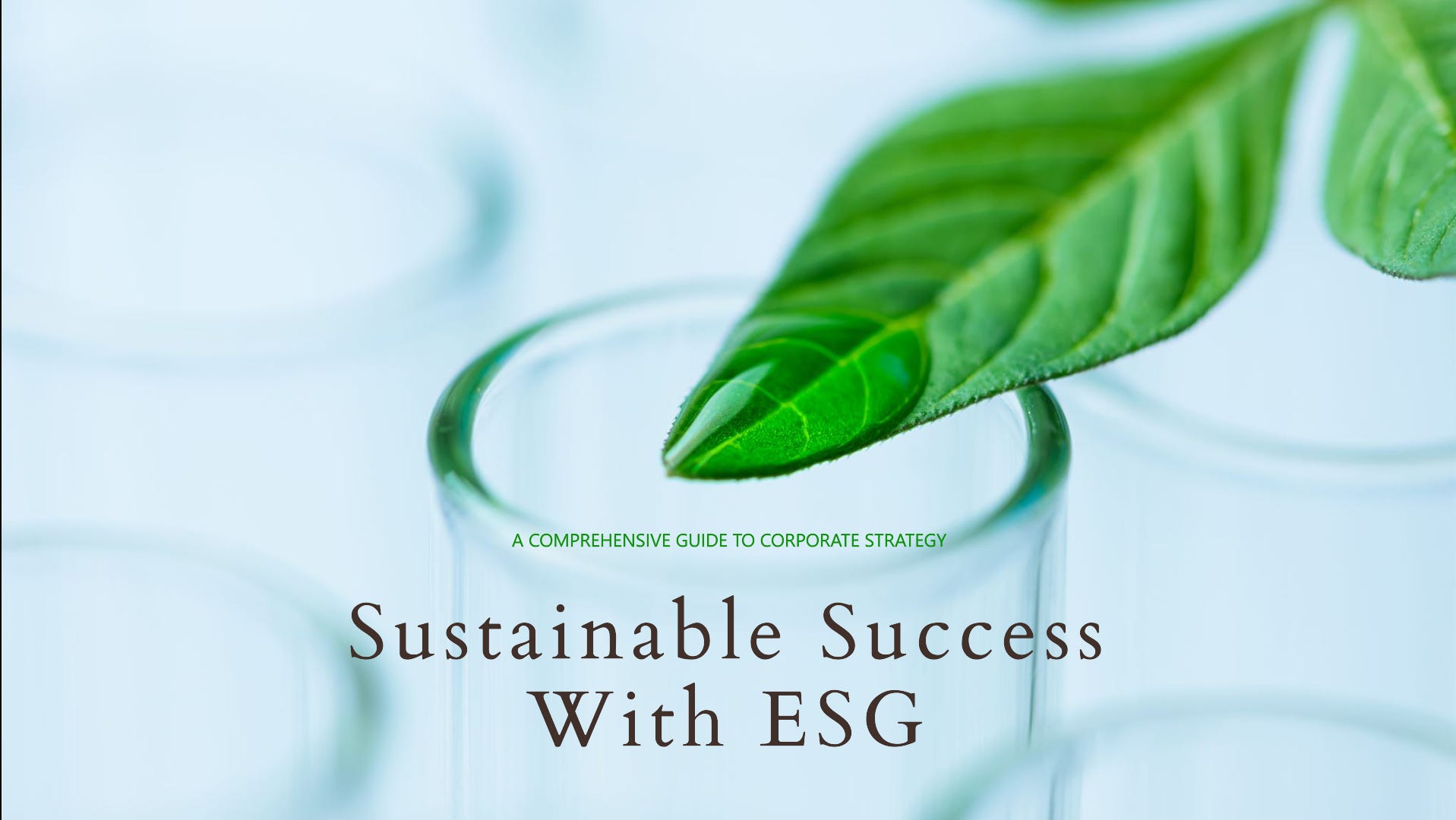 Why ESG is the New Imperative for Corporate Strategy: A Comprehensive ...