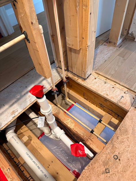 mold remediation