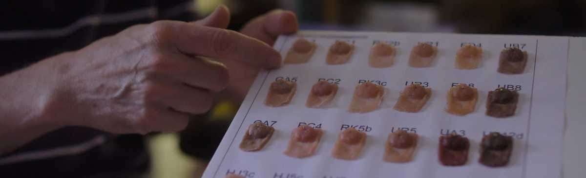 Mom & Dad's Nipple Factory - Rotten Tomatoes