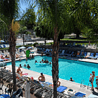 Robbery disrupts nudist Summer Games at Glen Eden