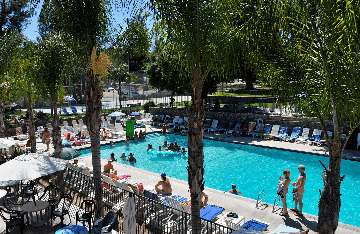 Nude visitors swim and relax around the large outdoor pool at Glen Eden Sun Club, surrounded by palm trees, lounge chairs and shaded seating areas.