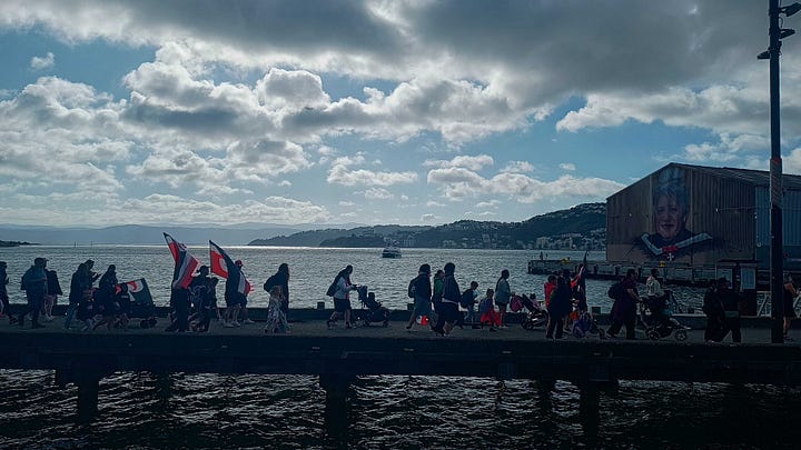 Protesters in Wellington