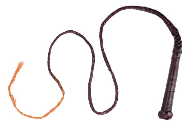 339 Bullwhip Stock Photos, Pictures & Royalty-Free Images - iStock