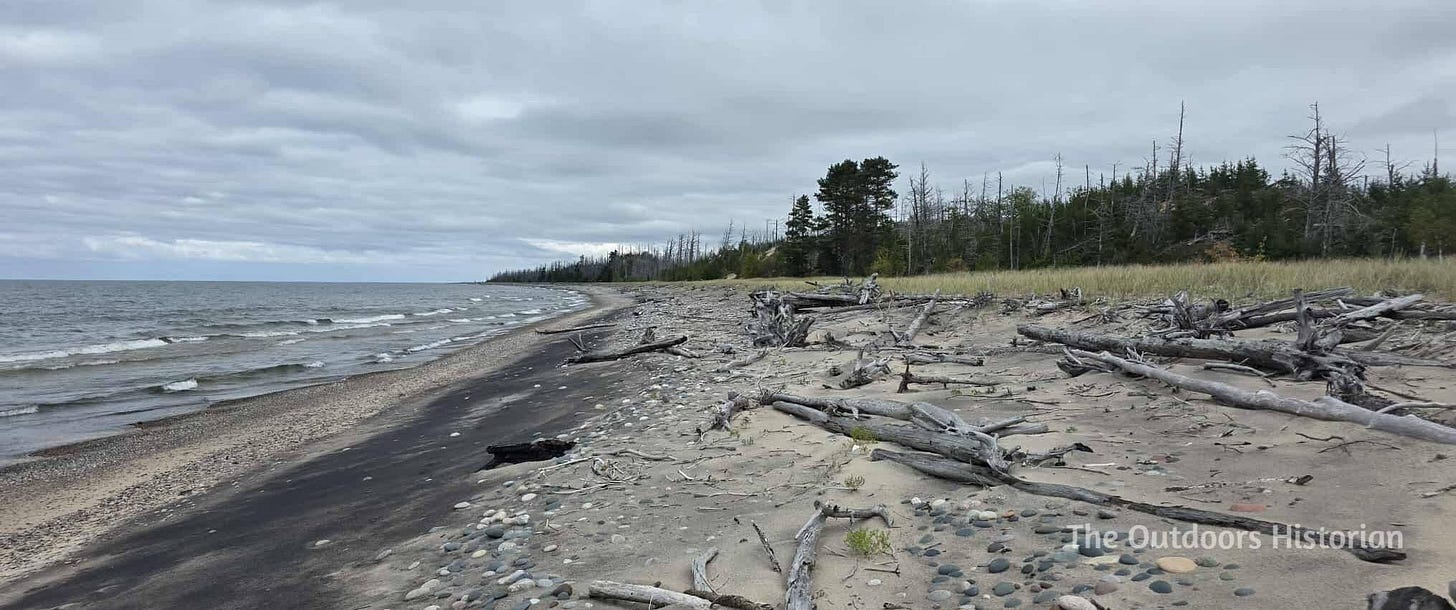 A sandy beach scattered with small to medium sized rocks and driftwood. The beach transitions to dune grass and then a burnt forest.