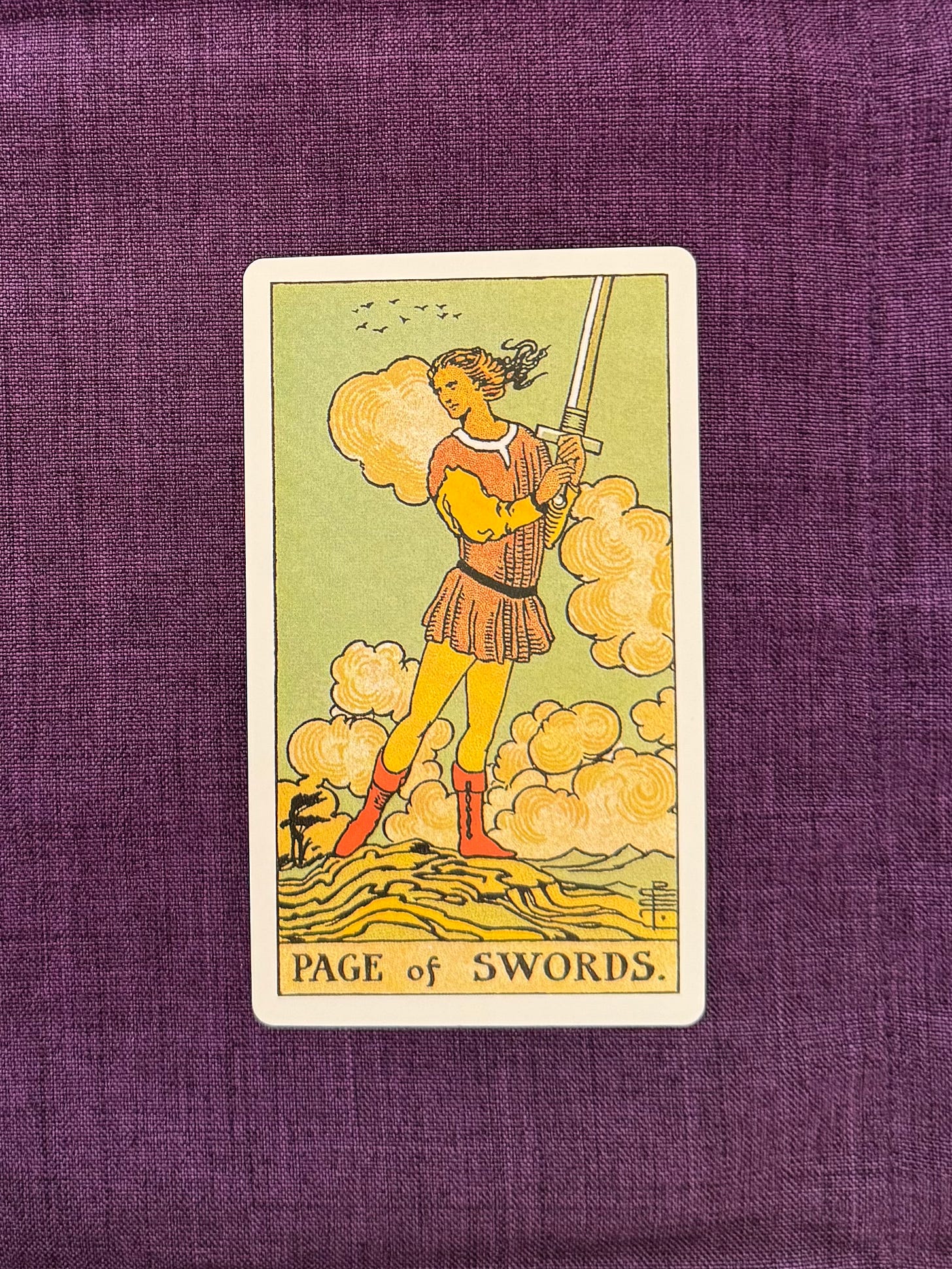 A young figure stands on uneven ground, holding a sword upright with both hands. The figure faces to the side with the head turned forward. Their hair and clothing are blown by the wind. The landscape includes low hills, sparse vegetation, and several trees in the distance beneath a sky filled with clouds.
