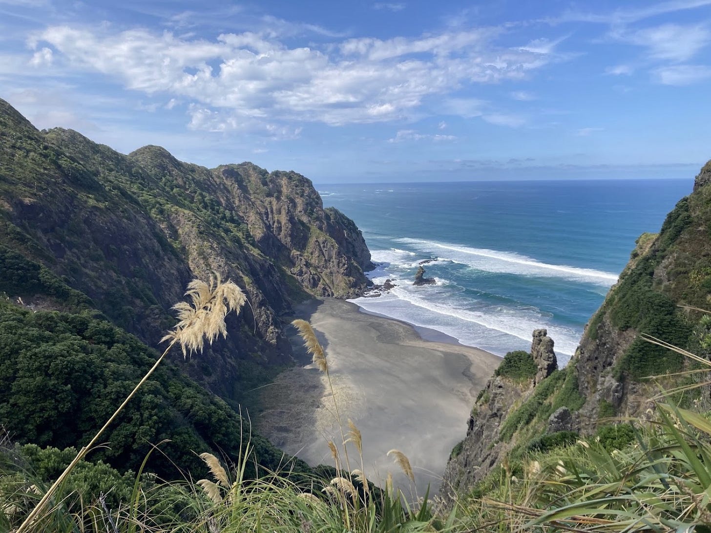 A black-sand west coast beach framed by steep bush-covered cliffs and toetoe, near Auckland A black-sand west coast beach framed by steep bush-covered cliffs and toetoe, near Auckland