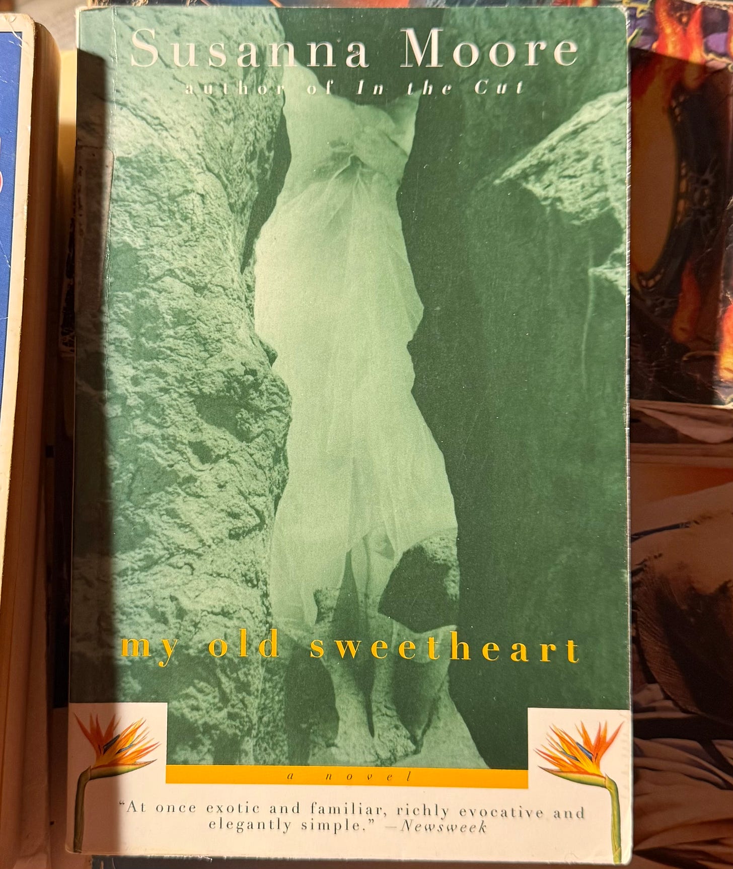 cover of My Old Sweetheart by Susanna Moore