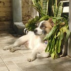 #78. A Felipe, i.m. ♾️