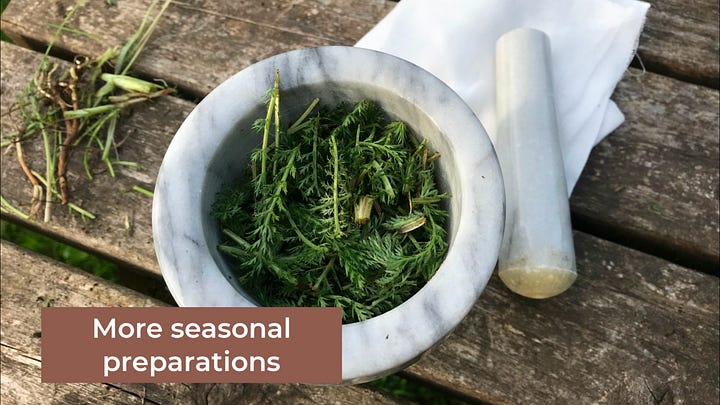 Harvesting, making tea, jars and bottles, pestle and mortar