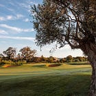 Η ιδιωτική ιδιοκτησία προστατεύει το περιβάλλον, όχι το κράτος