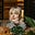 Clementine Ford's avatar