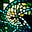 DDW's avatar