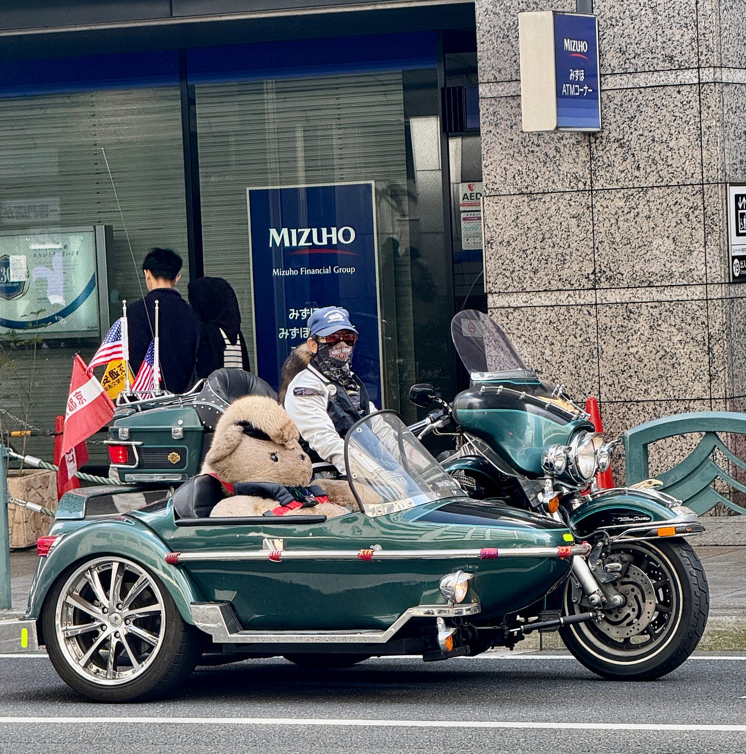 9F787B9C-5156-4A0C-946C-A7F61EA8F0A9_1_201_a.jpeg