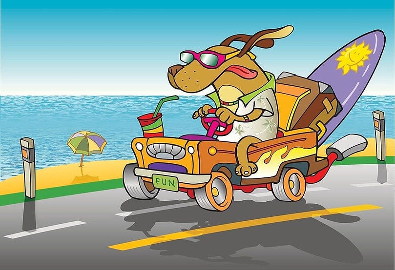 Why Do Dogs Love To Ride In Cars? Know The Science Behind Why Your Dog Loves Car Rides So Much!