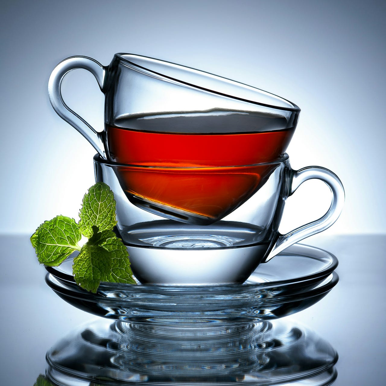 The View from My Cup