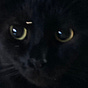 l o's avatar