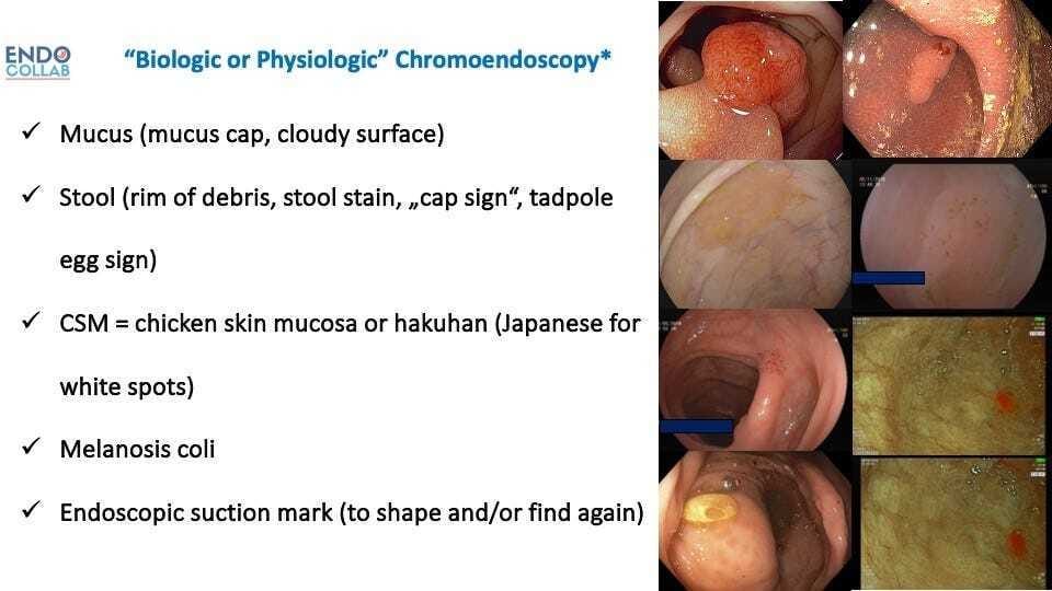 Close-up of several images of a person's body Description automatically generated