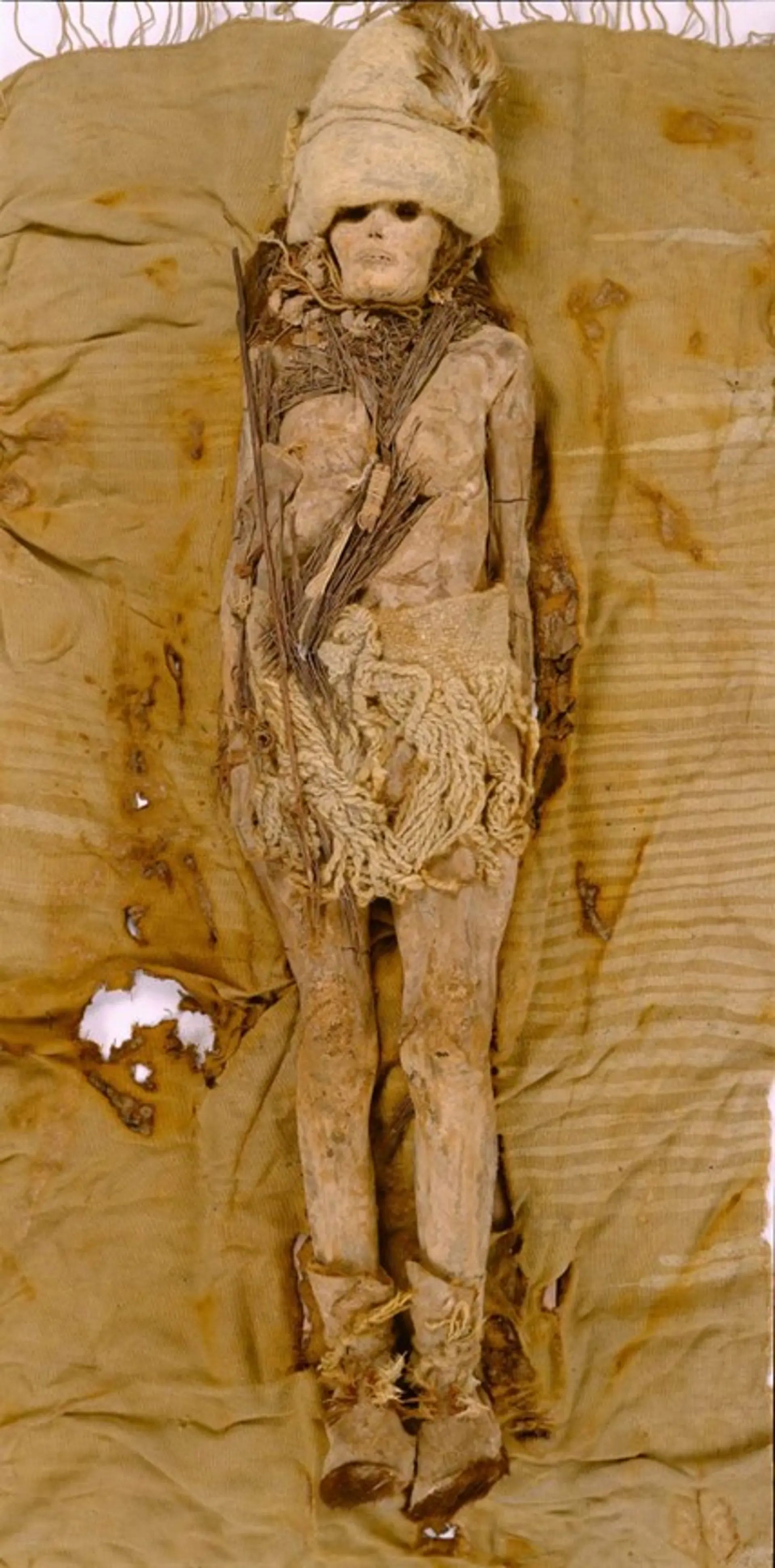 The Oldest Cheese: 3,600-Year-Old Kefir Cheese Found with Ancient Mummies  in China, image size:1920x3885
