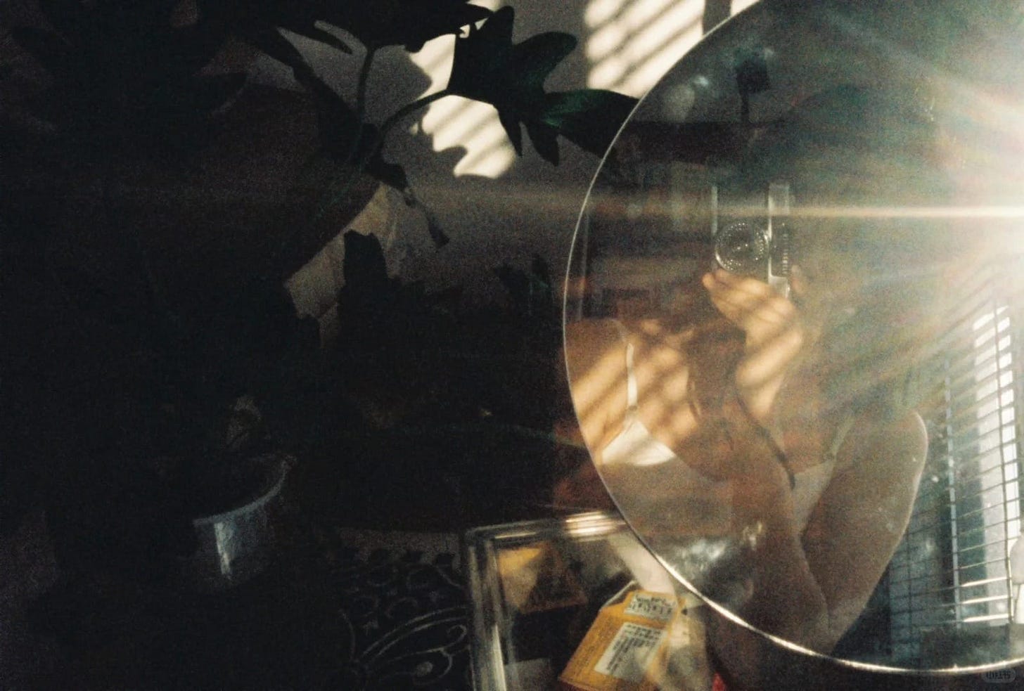 她和她的胶片相机