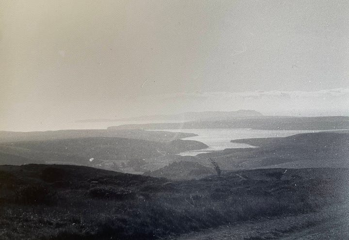 Images of Point Reyes and Golden Gate National Recreation Area by Sabrina Simpson