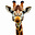 Suzanna Del Real's avatar