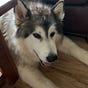 Kiska WI's avatar